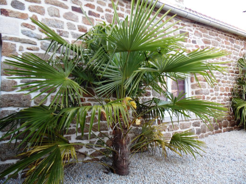 Gites Mont Saint Michel "Aucoeurdelabaie" Sains エクステリア 写真